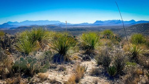 21419 Garnet Rd. Pid, Terlingua, TX, 79852 | Card Image