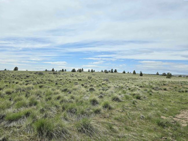 183 Middle Rd, Home with 0 bedrooms, 0 bathrooms and null parking in Bickleton WA | Image 6