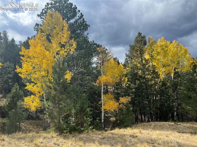752 County Road 16, Home with 0 bedrooms, 0 bathrooms and null parking in Cotopaxi CO | Image 7