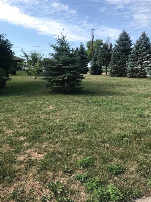 29 Spruce St, Tracy, MN, 56175-1633 | Card Image