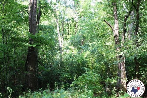 TBD Cr 3208, New Boston, TX, 75570 | Card Image