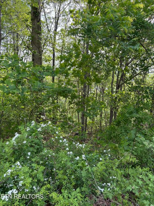 lot 168 Saddle Ridge Dr, Speedwell, TN, 37870-8154 | Card Image