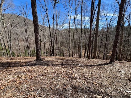 Lot 164 Tracks Holw, Murphy, NC, 28906 | Card Image