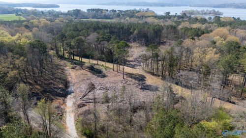 20.6 Acres Murphy Hill Rd, Langston, AL, 35755 | Card Image