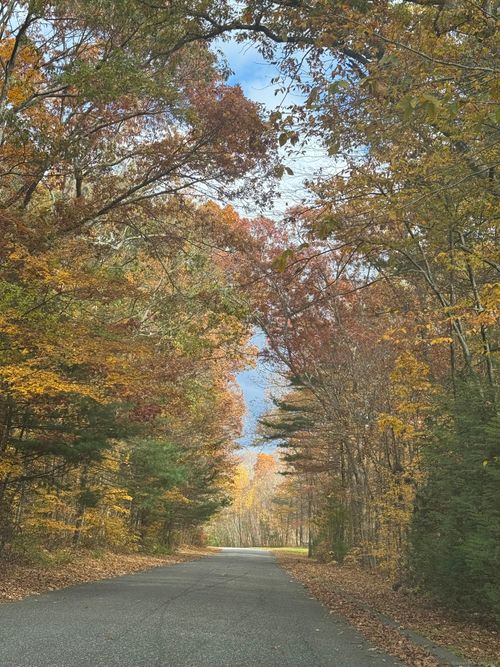 86 Buff Cap Rd, Tolland, CT, 06084-2638 | Card Image