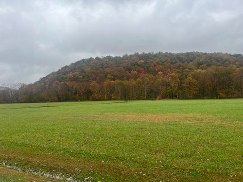 1037 Big Salt Lick Rd, Salt Lick, KY, 40371-9039 | Card Image