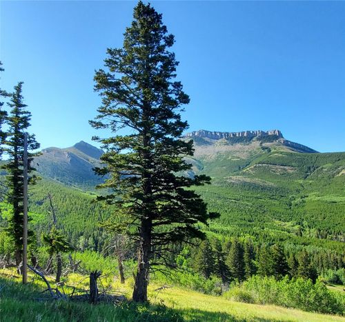 3384 Joslin Creek Rd, Augusta, MT, 59410 | Card Image