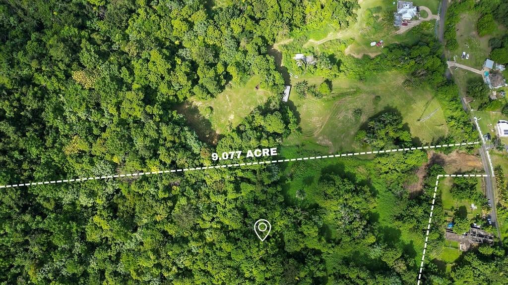 Land en venta en VEGA ALTA, Carr. 647 Km 7.9 LA CANDELARIA
