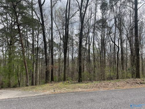 3706 Chula Vista Dr Sw, Decatur, AL, 35603-4023 | Card Image