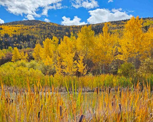 (Parcel 6) TBD Highway 65, Mesa, CO, 81643 | Card Image