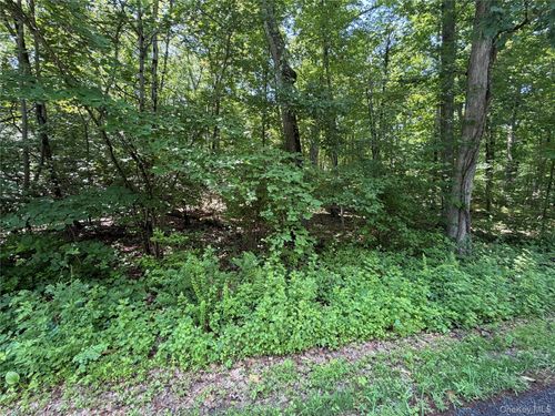 599 E Mountain Road N, Philipstown, NY, 10516 | Card Image