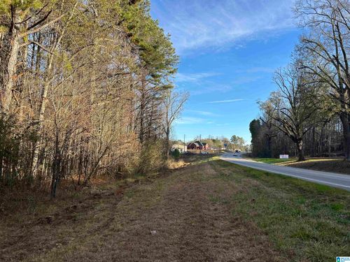 0-0 Cheaha State Park Dr, HEFLIN, AL, 36264 | Card Image