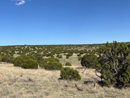 43 Pinon Springs Rd, Magdalena, NM, 87825 | Card Image