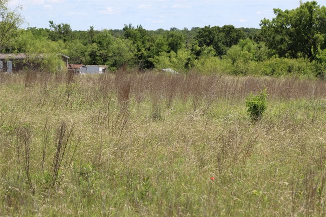 View of woods | Image 4