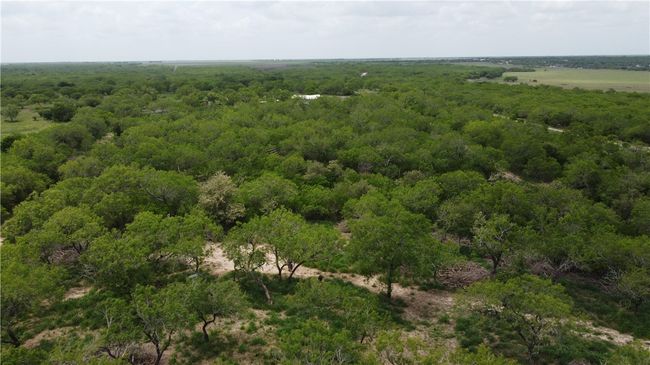 5525 Ravine Rd, Home with 0 bedrooms, 0 bathrooms and null parking in Robstown TX | Image 12