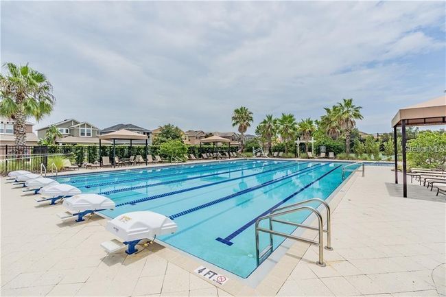 6 lane Jr Olympic Pool | Image 62