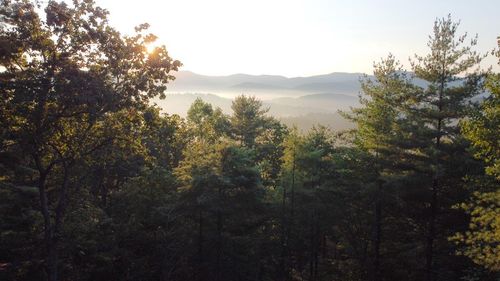 LOT 11 Self Mountain Rd, Blairsville, GA, 30512 | Card Image