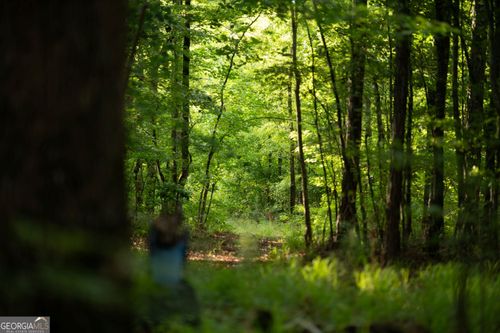 2719 Silas Mercer Rd Ne, Crawfordville, GA, 30631-1925 | Card Image