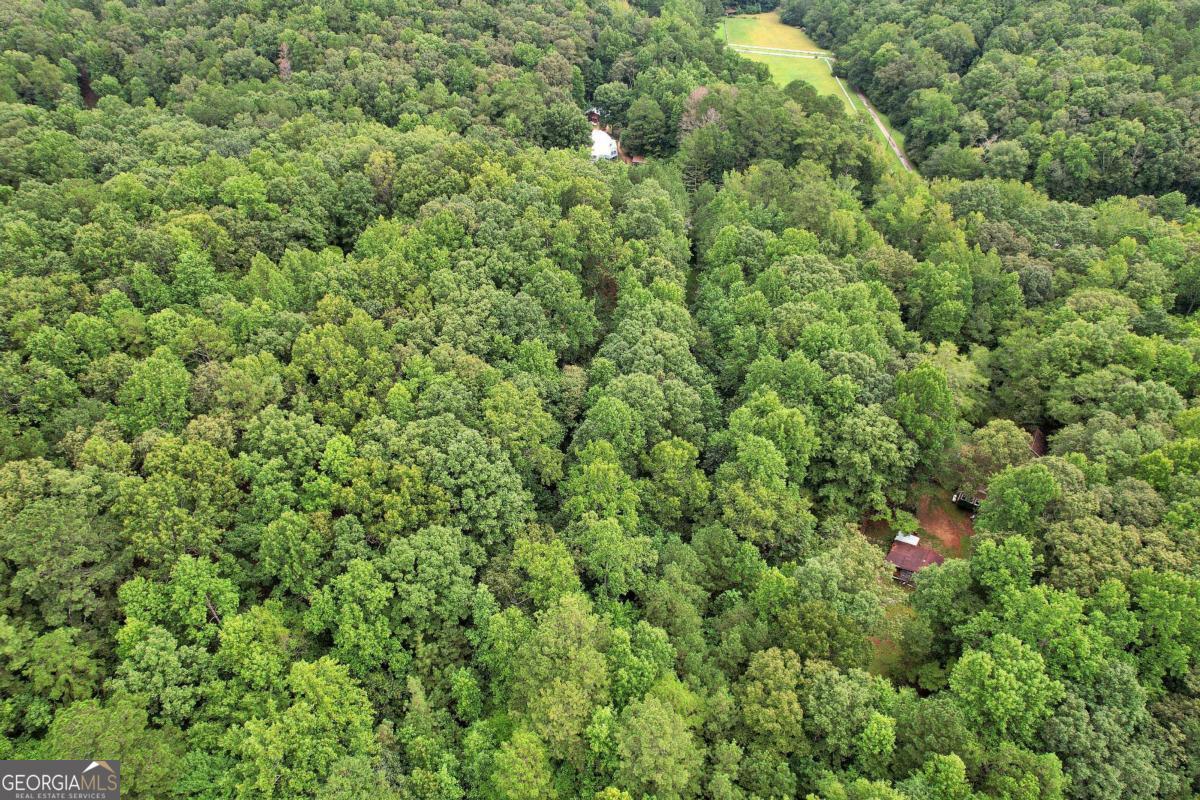 Land in Douglasville 3