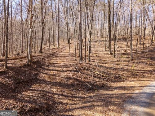 1110 Mayfield Lane, Ranger, GA, 30734 | Card Image