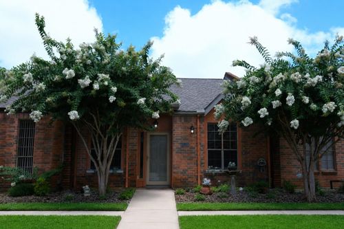 107 Manor Pl, Lake Jackson, TX, 77566-4909 | Card Image