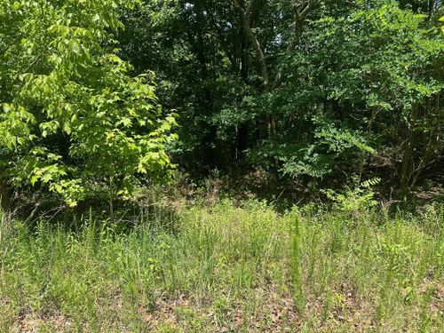 176 Teludachee Trl, South Pittsburg, TN, 37380-1708 | Card Image