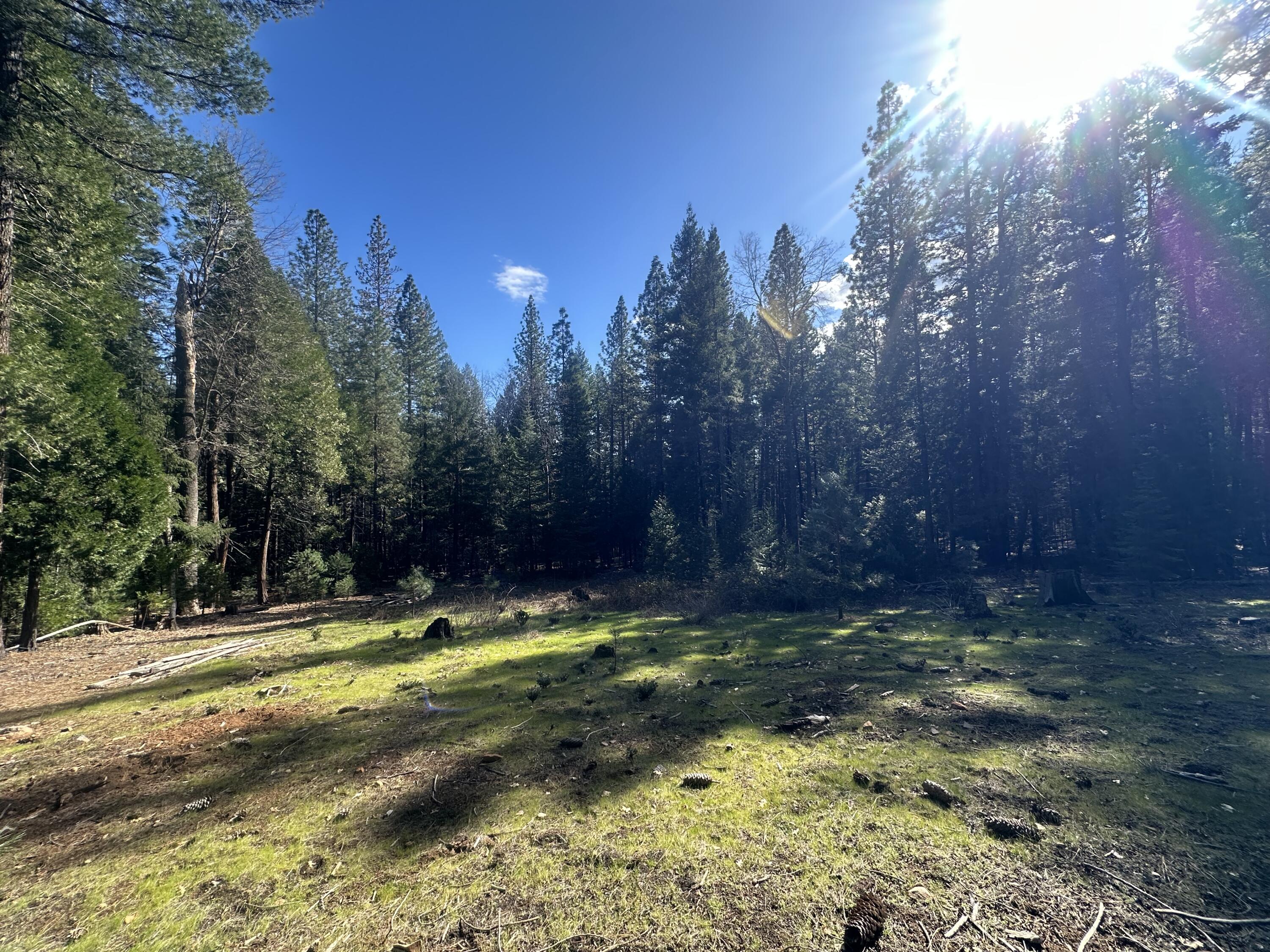 Land in Oak Run