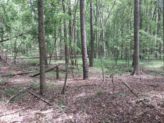 846 Latimer Mill Rd, Home with 0 bedrooms, 0 bathrooms and null parking in Honea Path SC | Image 12
