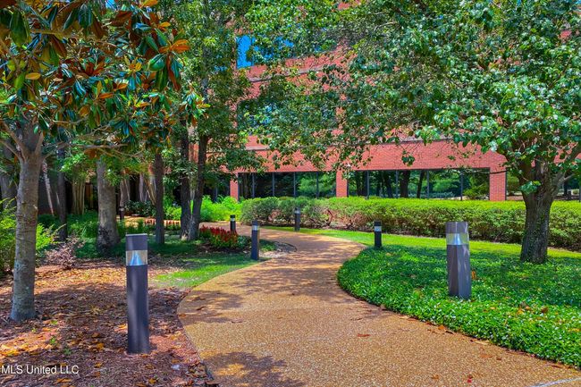 Woodlands-2022-37 | Image 4