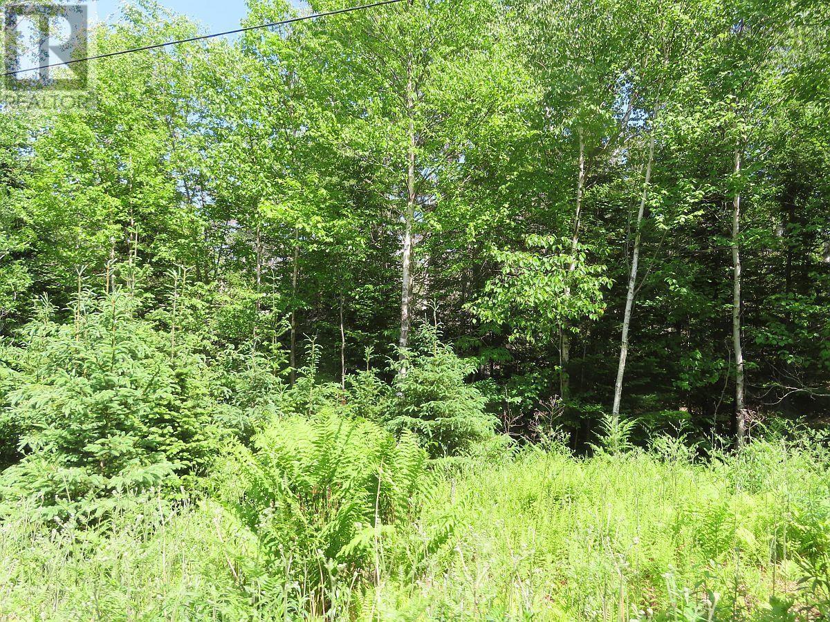 Land in Roberta 5