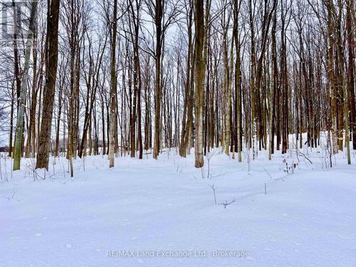 36720 River Rd, Lucknow, ON, N0G2H0 | Card Image