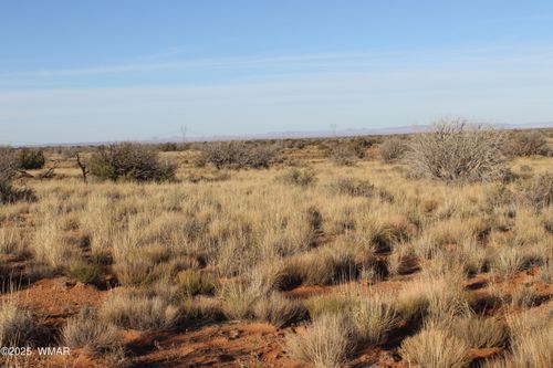 Lot 224 Ccr, Heber, AZ, 85928 | Card Image