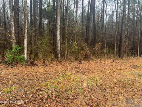 0 Reams Rd, Spring Hope, NC, 27882 | Card Image