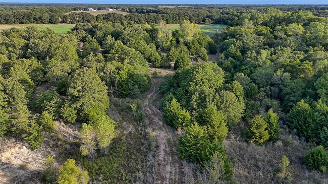 0 Deen Rd, Home with 0 bedrooms, 0 bathrooms and null parking in Bowie TX | Image 5