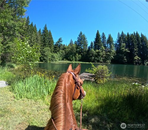 162 Bylin Rd, Stevenson, WA, 98648-6531 | Card Image