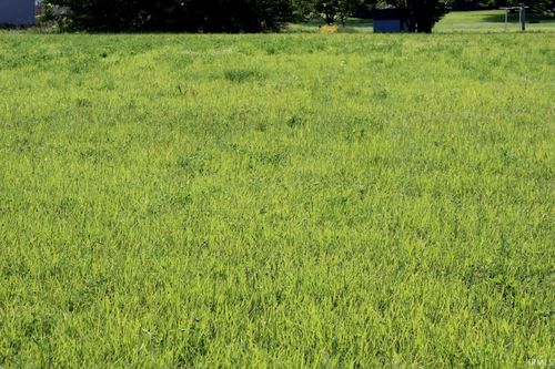 7 W Susan Dr, Princeton, IN, 47670 | Card Image