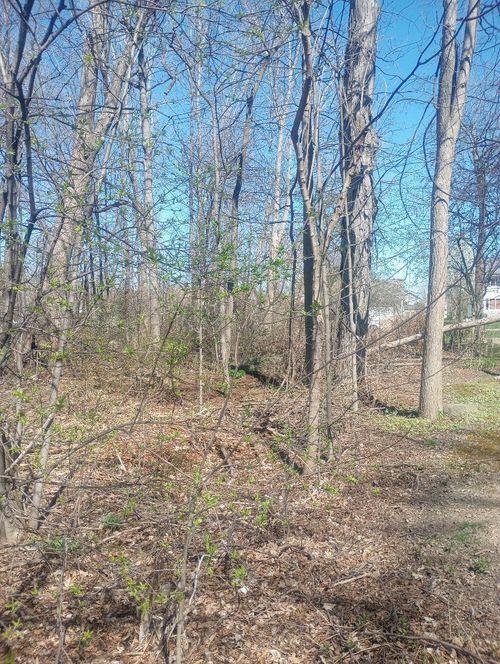 4093 Libbie Dr, Clio, MI, 48420-8202 | Card Image