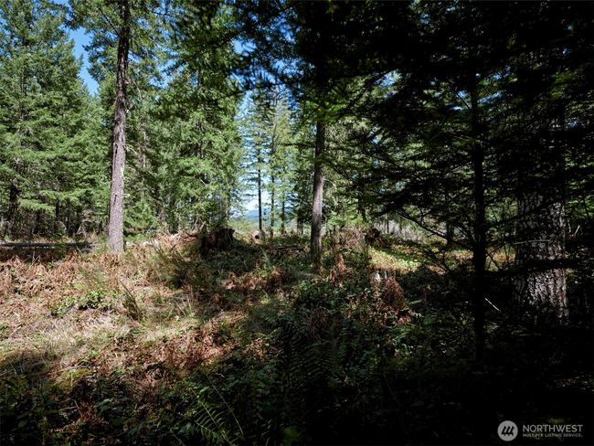 Acreage | Image 21