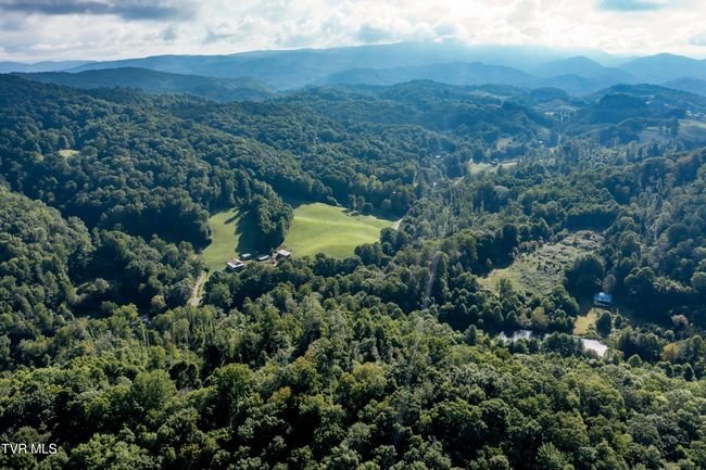 306 Bear Branch Rd, Home with 0 bedrooms, 0 bathrooms and null parking in Roan Mountain TN | Image 17