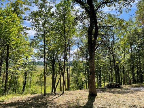 TBD Wedgewood Rd Nw, Walker, MN, 56484 | Card Image