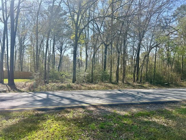 2710 Roman Forest Blvd, Home with 0 bedrooms, 0 bathrooms and null parking in New Caney TX | Image 10