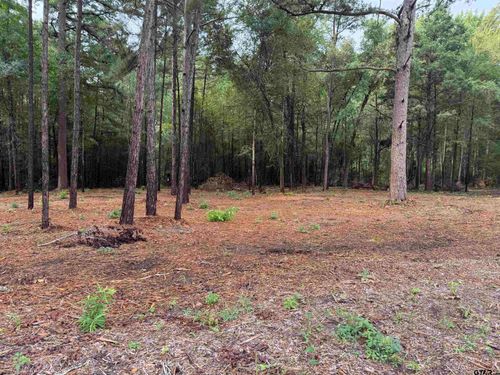 11503 County Road 168, Tyler, TX, 75703-7751 | Card Image