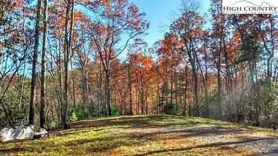 Lot 3 Hidden Forest Trail, Home with 0 bedrooms, 0 bathrooms and null parking in Todd NC | Image 1