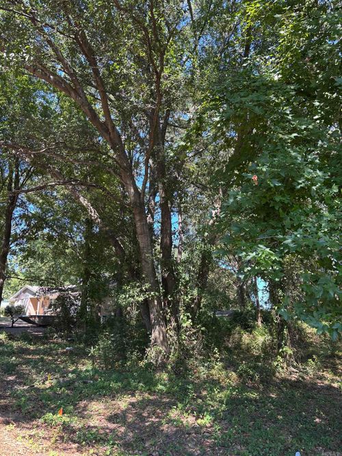 TBD Castleberry St, Nashville, AR, 71852 | Card Image