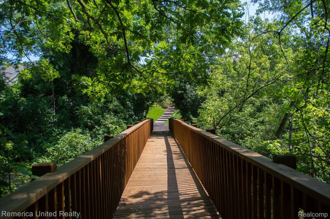 Trails | Image 33