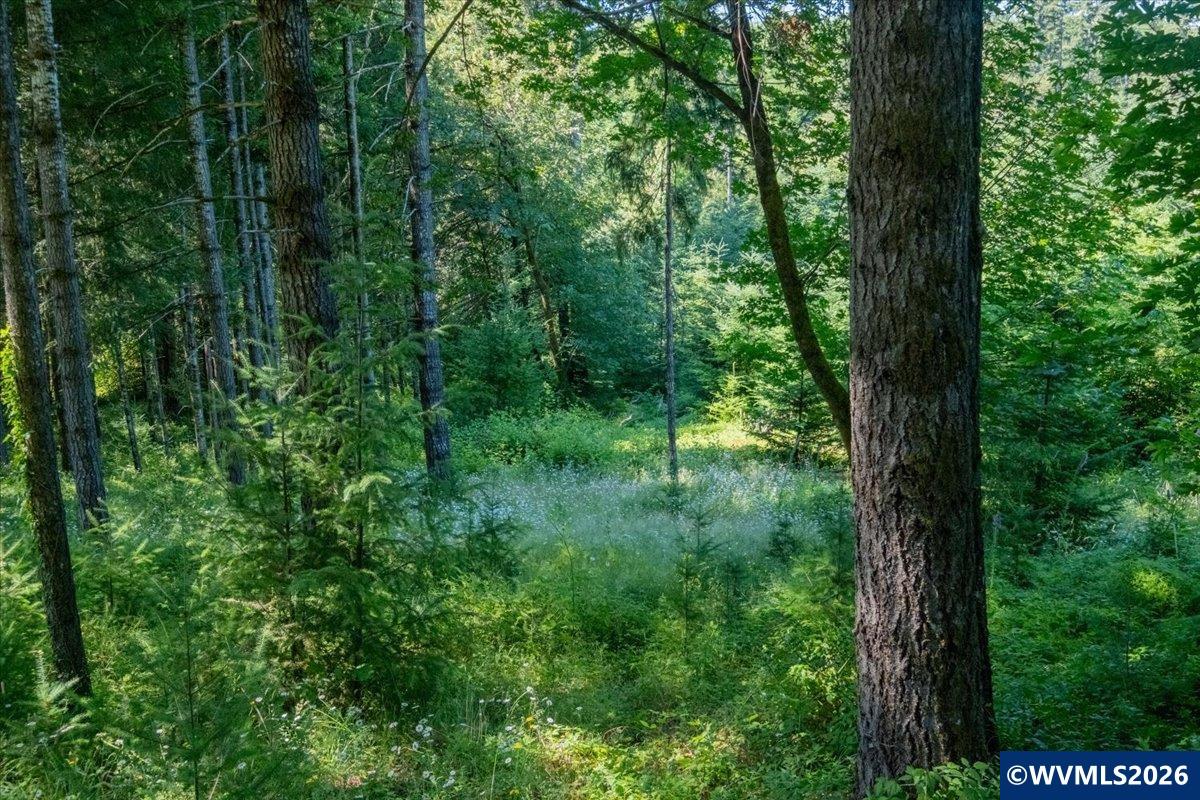 Land in Falls City 5