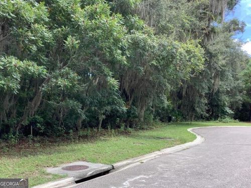 0 Lanyard Ct, Saint Marys, GA, 31558 | Card Image