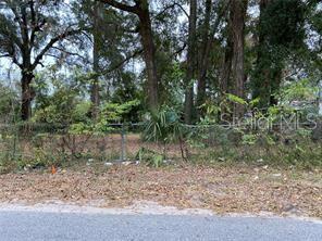 Land in OCALA 3