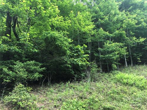167-000 N Blue Ridge Pkwy, Jefferson, NC, 28640 | Card Image