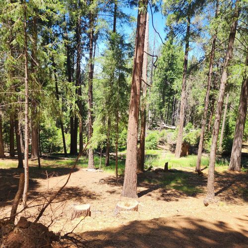5741 Lupin Ln, Pollock Pines, CA, 95726-9490 | Card Image